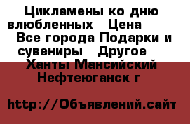 Цикламены ко дню влюбленных › Цена ­ 180 - Все города Подарки и сувениры » Другое   . Ханты-Мансийский,Нефтеюганск г.